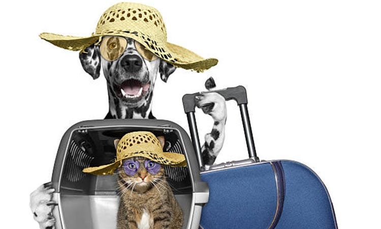 مهاجرت با حیوان خانگی به کانادا